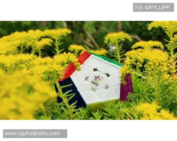 wca垃圾比赛-WCA垃圾比赛，探究背后的真相与挑战-wca垃圾比赛