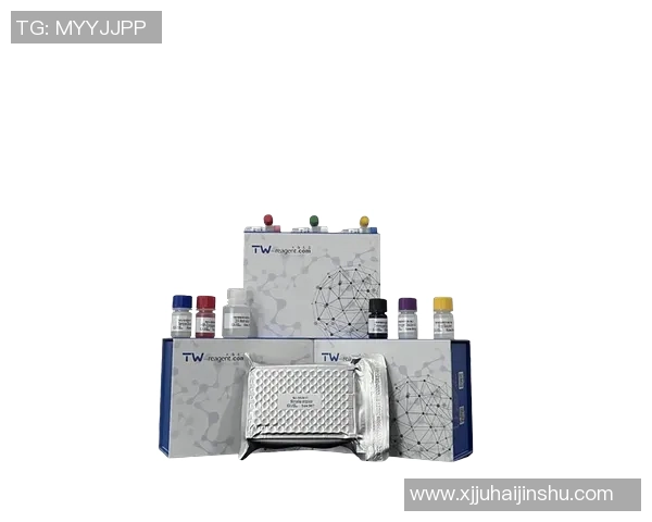 Elisa比赛-Elisa比赛,音乐与激情的碰撞-Elisa比赛 Elisa比赛-Elisa比赛,音乐与激情的碰撞-Elisa比赛